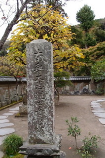PB112688.jpg