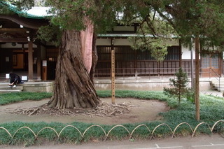 PB112691.jpg