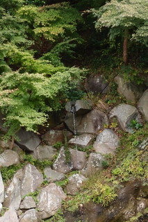 PB112707.jpg