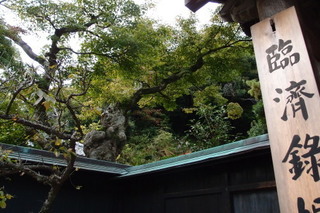 PB112740.jpg