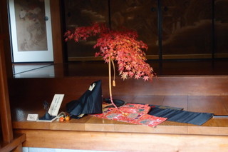 PB112753.jpg