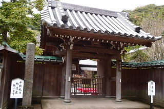 PB112759.jpg