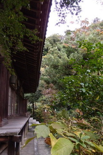 PB112789.jpg