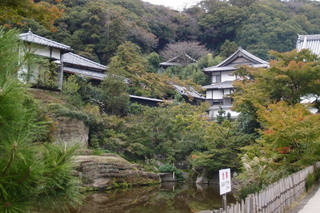 PB112816.jpg