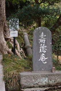 PB112819.jpg