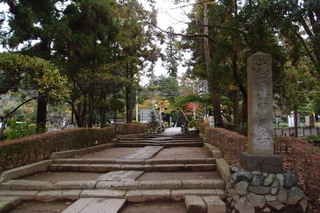 PB112861.jpg