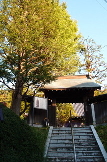 PB161838.jpg