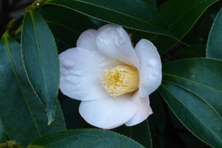 PB161852.jpg