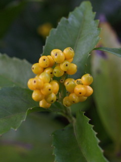 PB177861.jpg