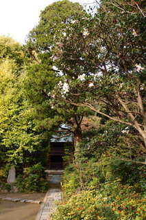 PB206885.jpg