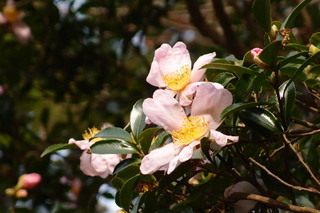 PB206886.jpg