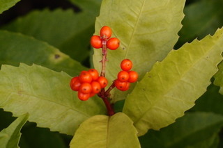 PB206887.jpg