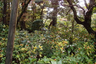 PB206908.jpg