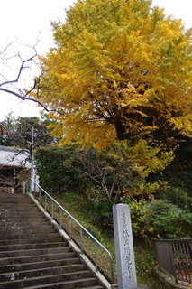 PB277026.jpg