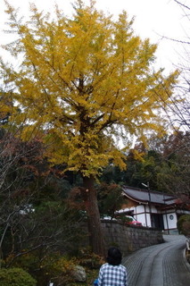PB277034.jpg
