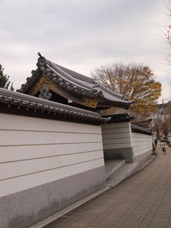 PB279778.jpg