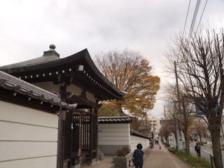 PB279780.jpg