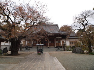 PB279781.jpg