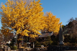 PC027048.jpg