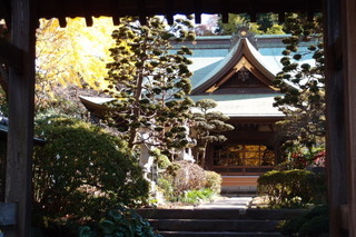 PC027052.jpg