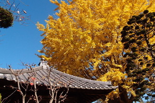 PC027079.jpg