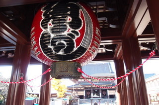 PC067155.jpg