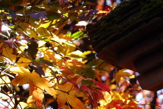 PC067177.jpg