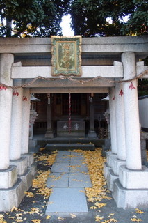 PC067183.jpg