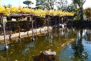 PC067194.jpg
