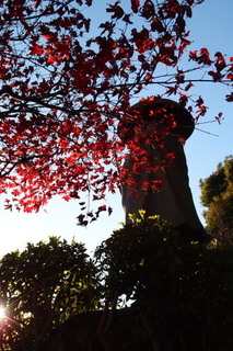 PC067210.jpg