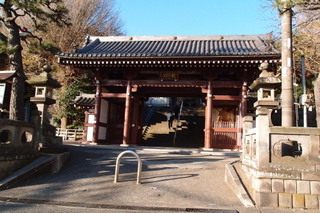 PC117225.jpg