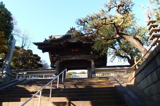 PC117229.jpg
