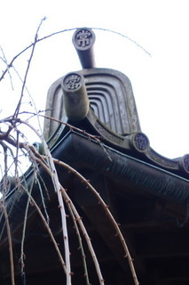 PC117291.jpg