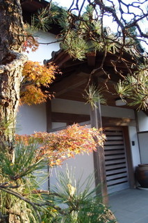 PC117321.jpg