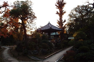 PC117323.jpg