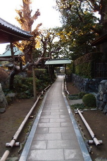 PC117325.jpg