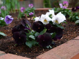 PC149274.jpg