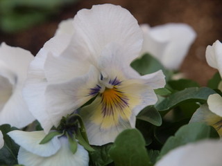 PC150146.jpg