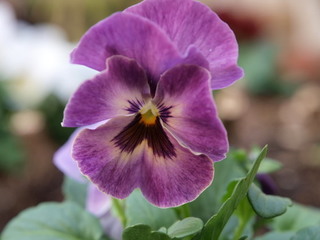 PC150147.jpg