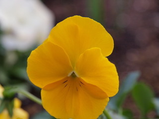 PC150153.jpg