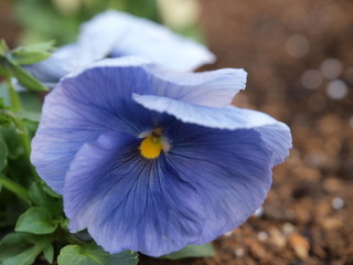 PC150154.jpg