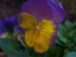 PC187884.jpg