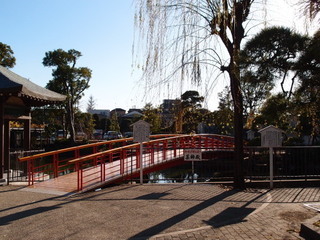 PC190460.jpg