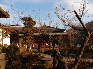 PC211231.jpg