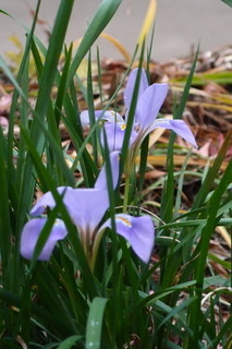 PC232957.jpg