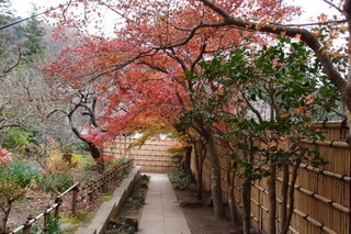 PC232958.jpg