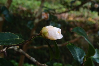 PC232963.jpg