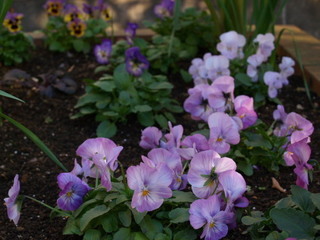 PC261252.jpg
