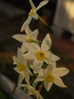 PC261264.jpg