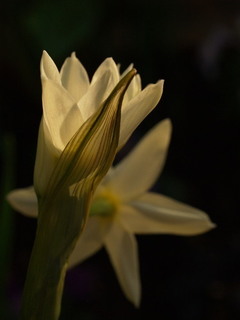PC261277.jpg